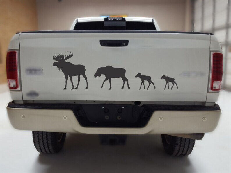 Aufkleber Camping & Fishing